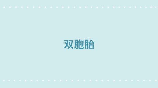 308 双胞胎(1/2)-第308话