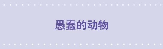 54 愚蠢的动物-第54话