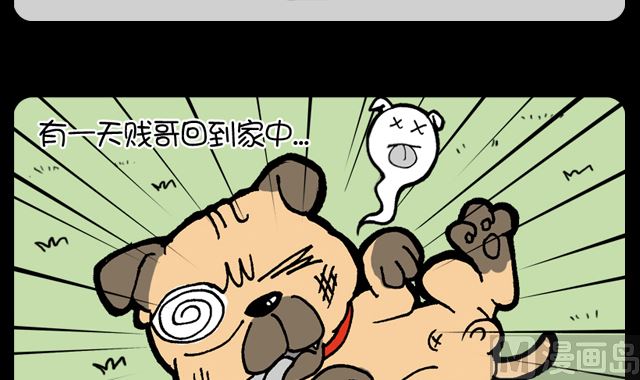 第1070话 旺财之死-第1050话