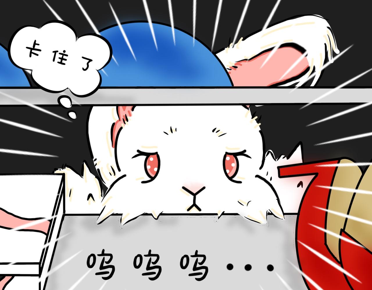 兔兔真的很喜欢钻洞吗-第2话