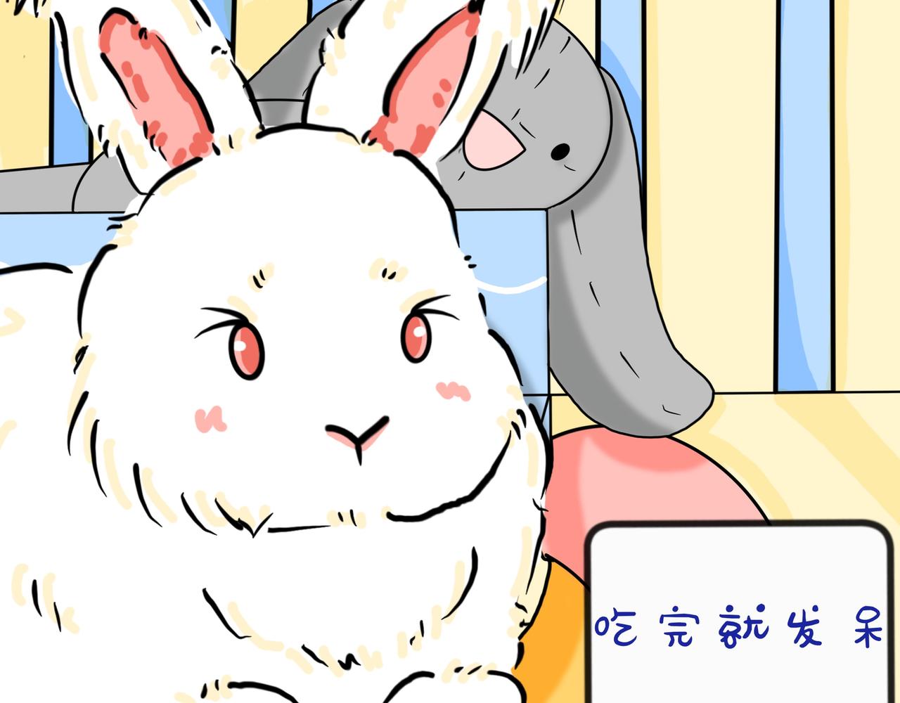 兔兔everyday-第22话