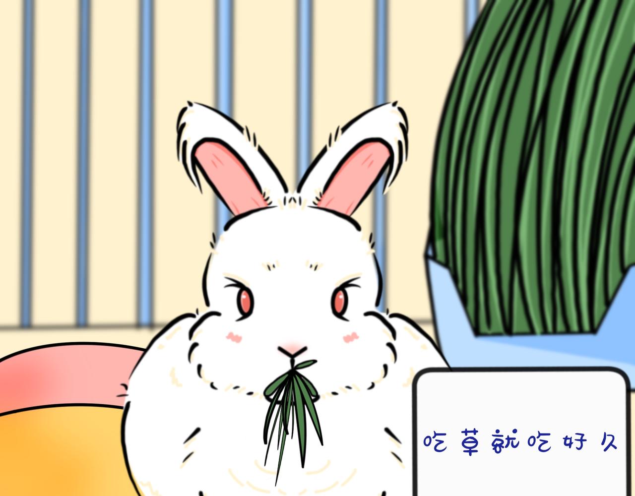 兔兔everyday-第22话