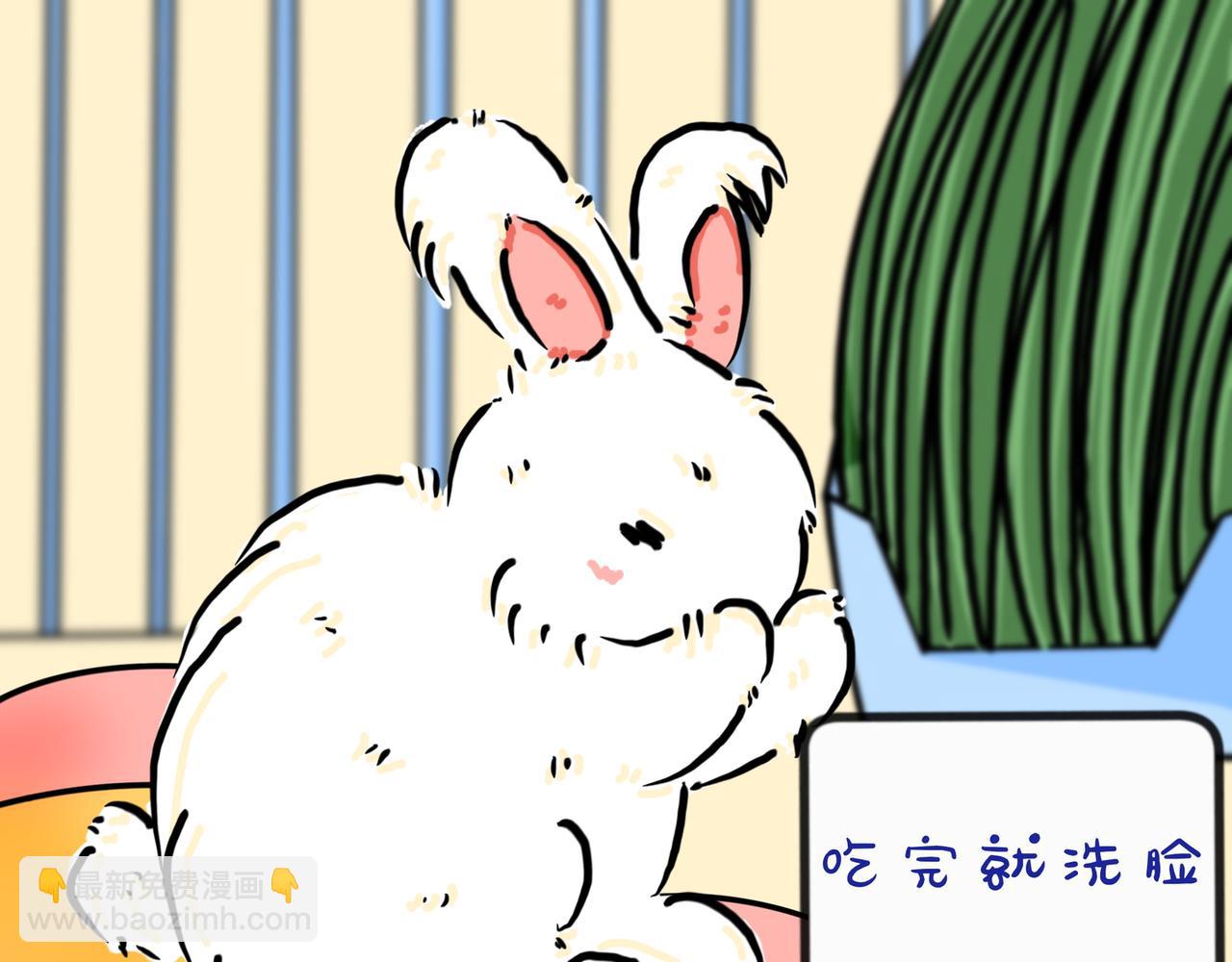 兔兔everyday-第22话