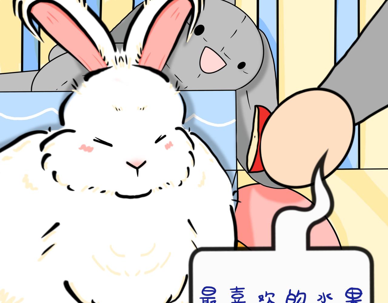 兔兔胀气怎么办-第26话
