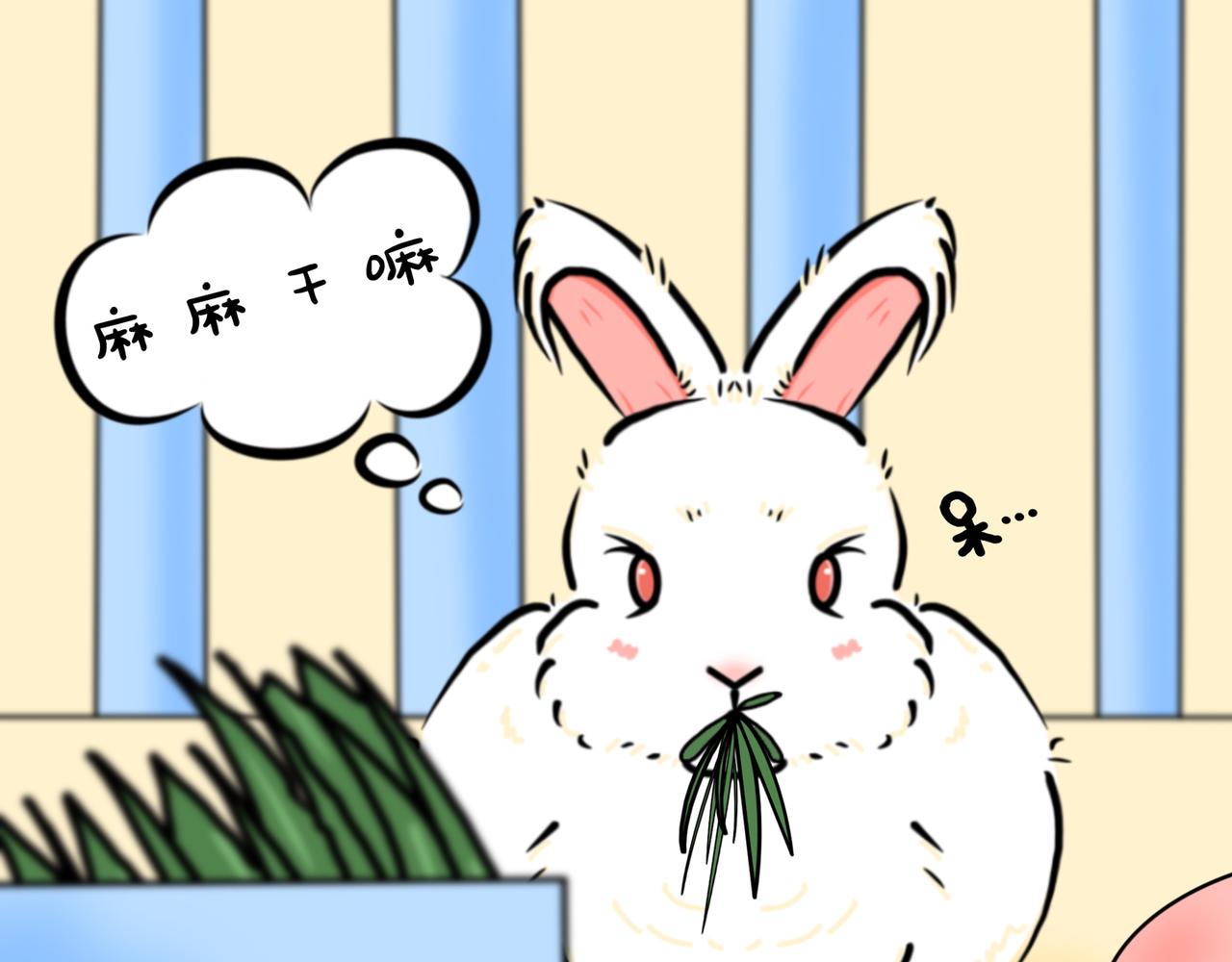 兔兔好能吃-第8话