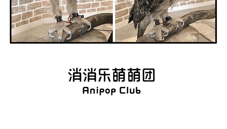 消消乐萌萌团番外08&mdash;10-第44话