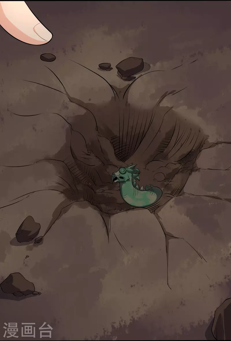 🍚校园护花高手 第281话 神物 第10页