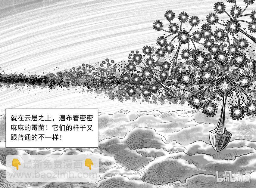 747 它8-第740话