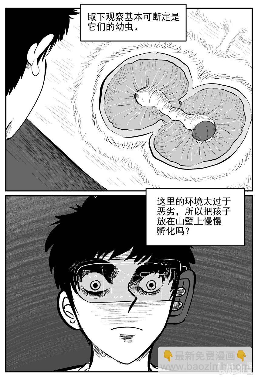 978 爱之星-第966话