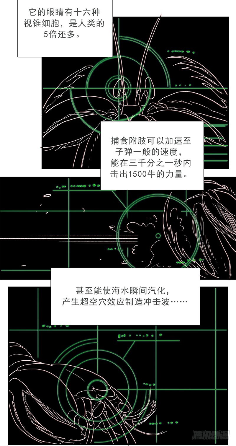皮皮虾我们走！-第116话