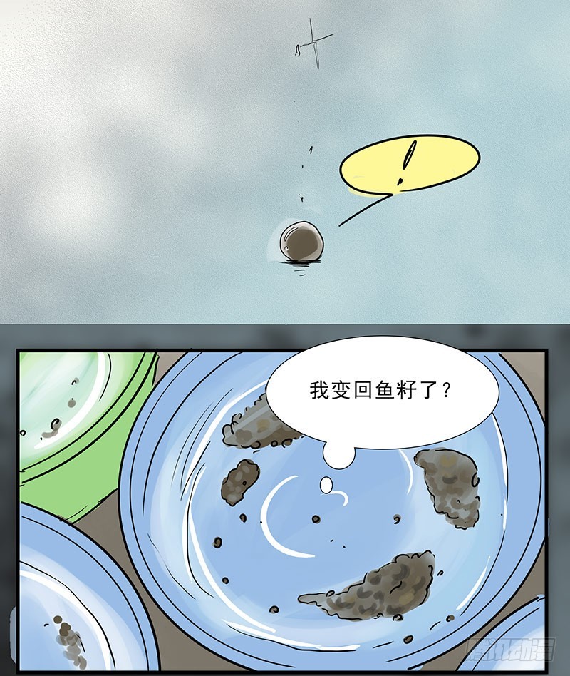 龙鱼之别-第88话