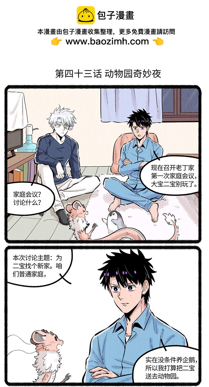 043 动物园奇妙夜-第44话