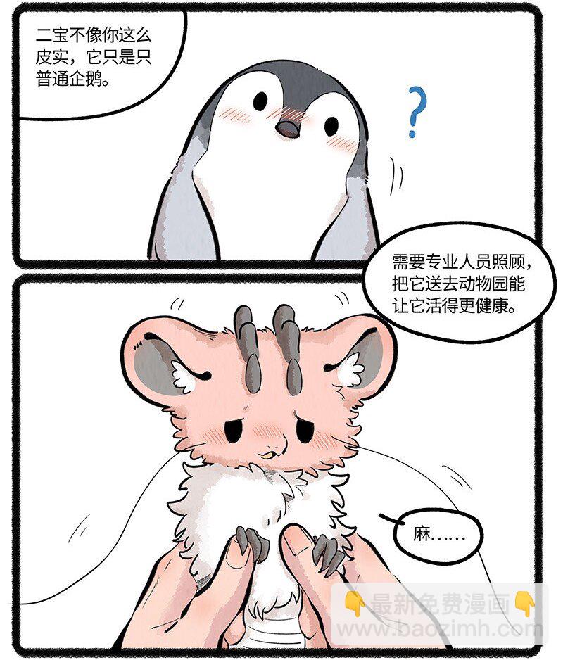 043 动物园奇妙夜-第44话