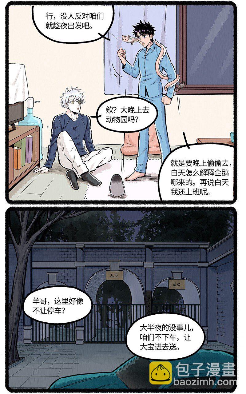 043 动物园奇妙夜-第44话