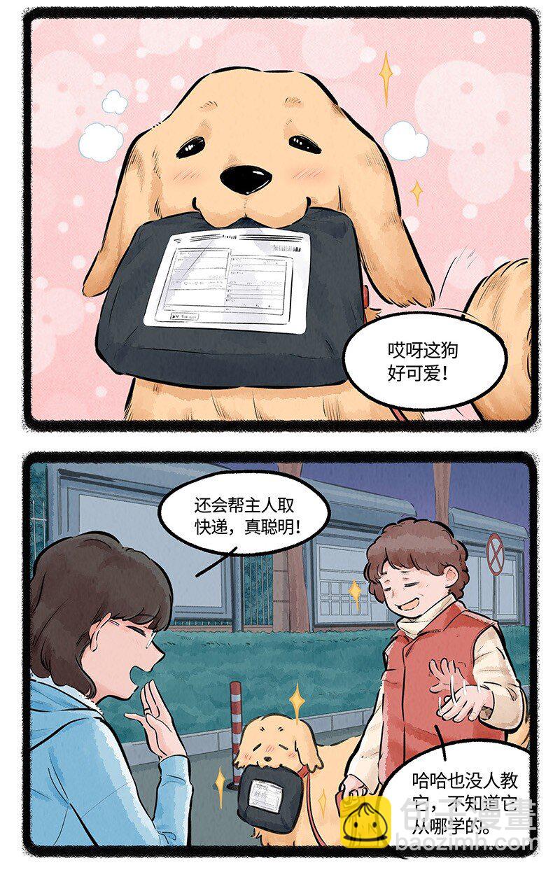 008 小羊和小狼-第8话
