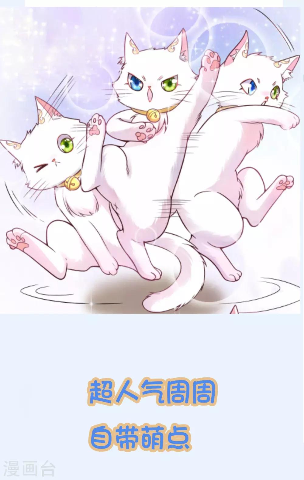 周周表情包 及福利活动-第44话