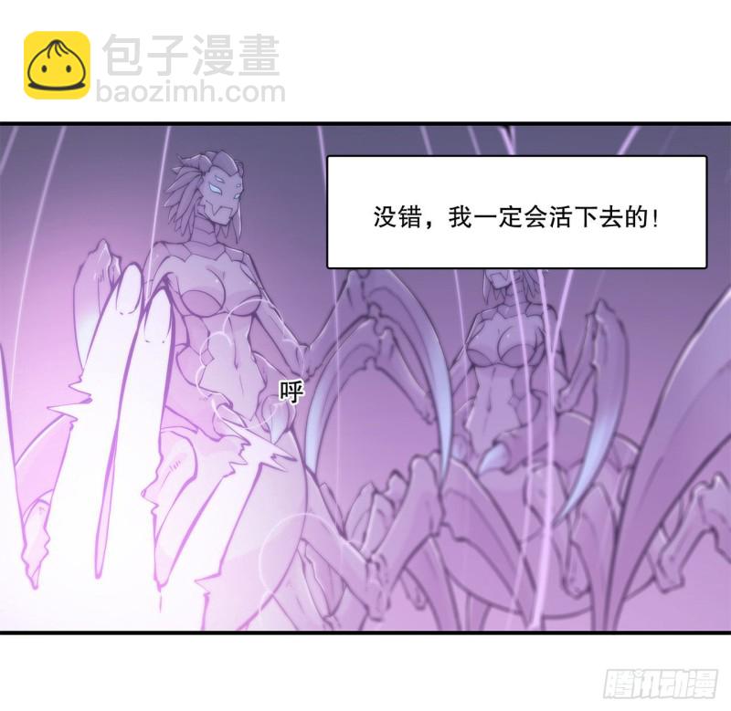 72 白姬登场-第74话