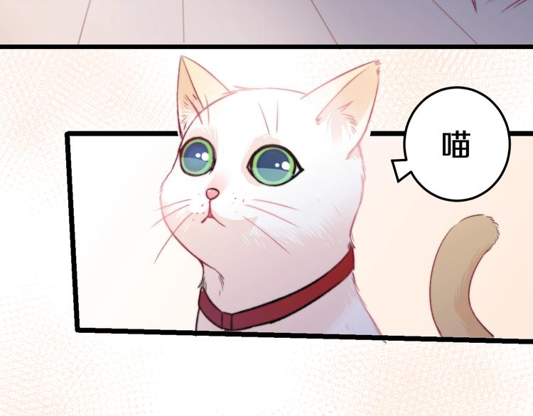 第19话 可爱的TA(1/2)-第20话