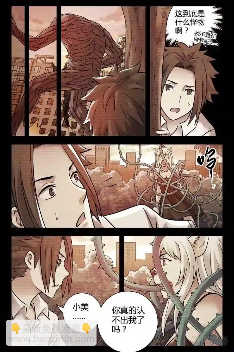 🍚血色苍穹 217.他们曾经是人类？ 第5页