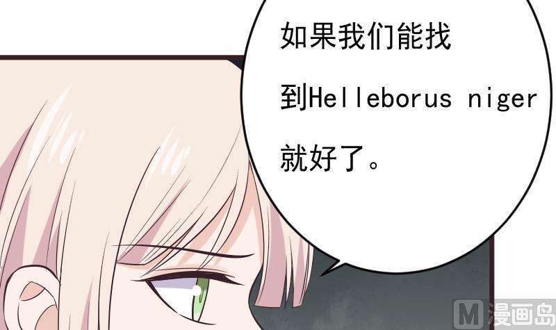 第276话 圣诞玫瑰(1/2)-第276话