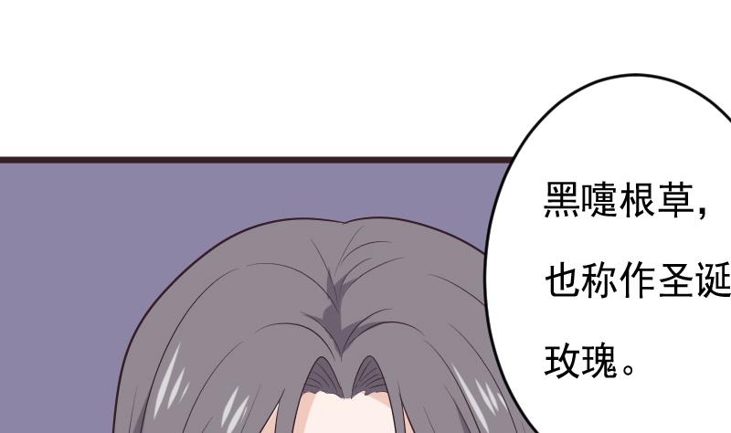 第276话 圣诞玫瑰(1/2)-第276话