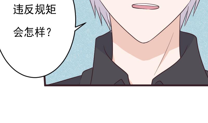 第276话 圣诞玫瑰(1/2)-第276话
