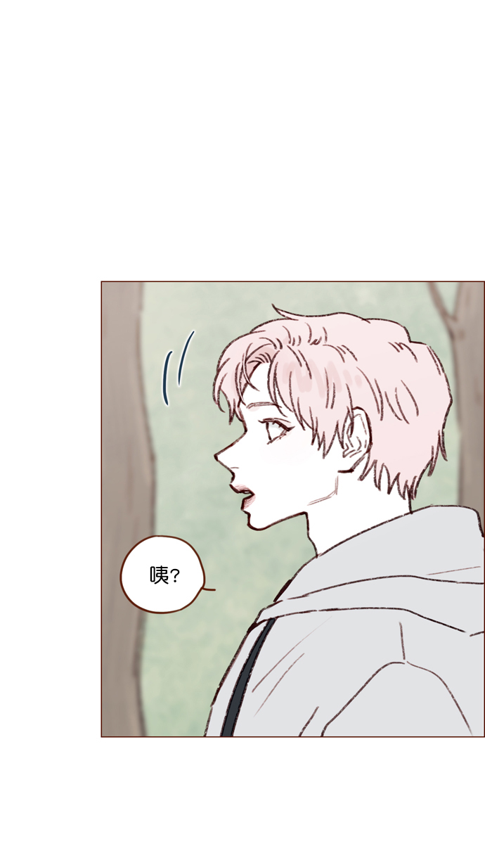 🍚喜欢我的小柿子 [第115话] 怎么可能呢 第46页