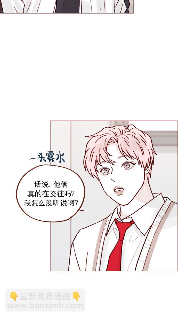 🍚喜欢我的小柿子 [第219话] 最喜欢别人骂彗星了 第31页