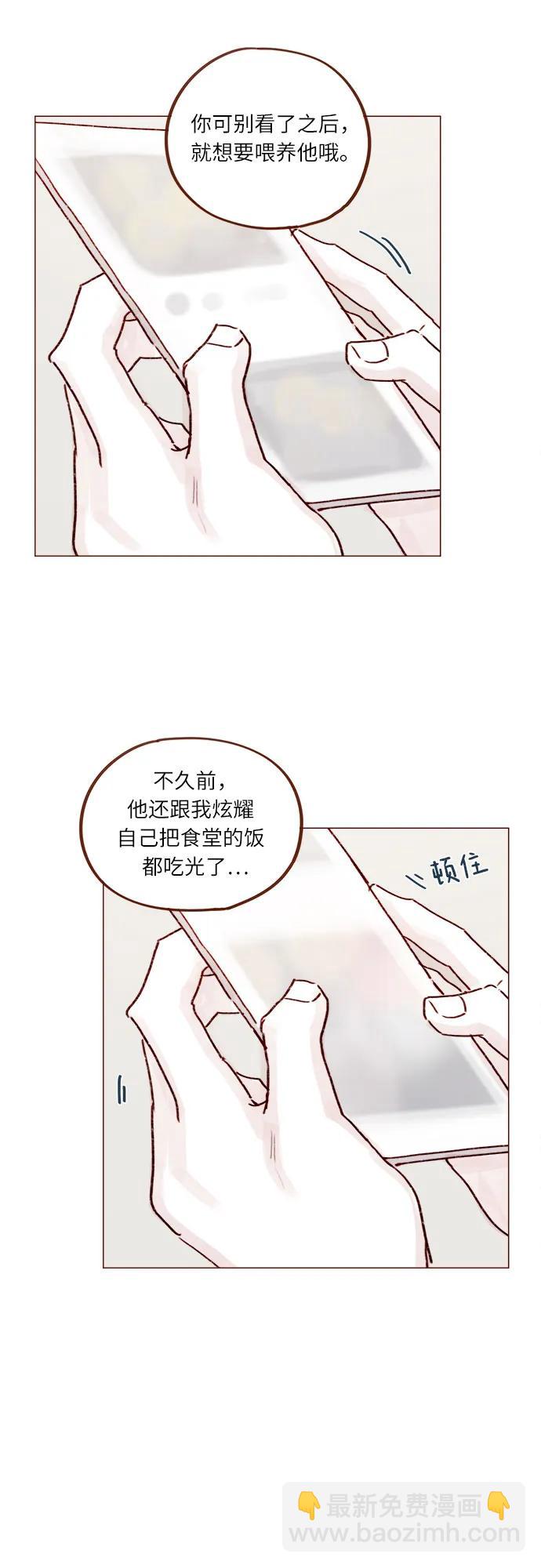 🍚喜欢我的小柿子 [第249话] 比这张脸更大的魅力… 第29页
