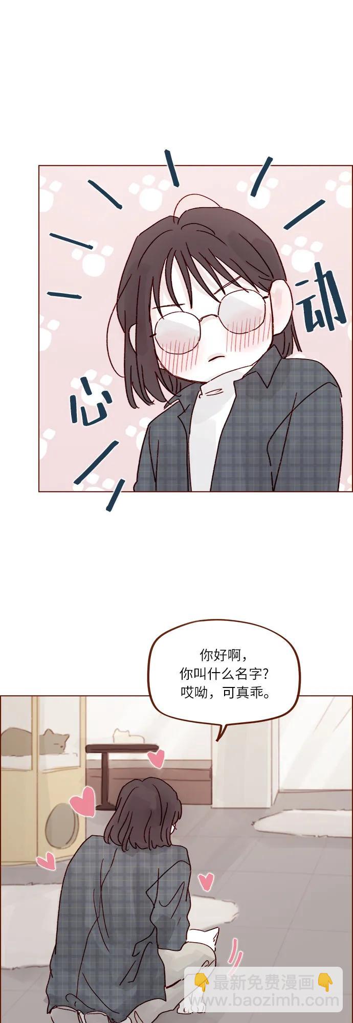🍚喜欢我的小柿子 [第259话] 是他女朋友吧? 第16页