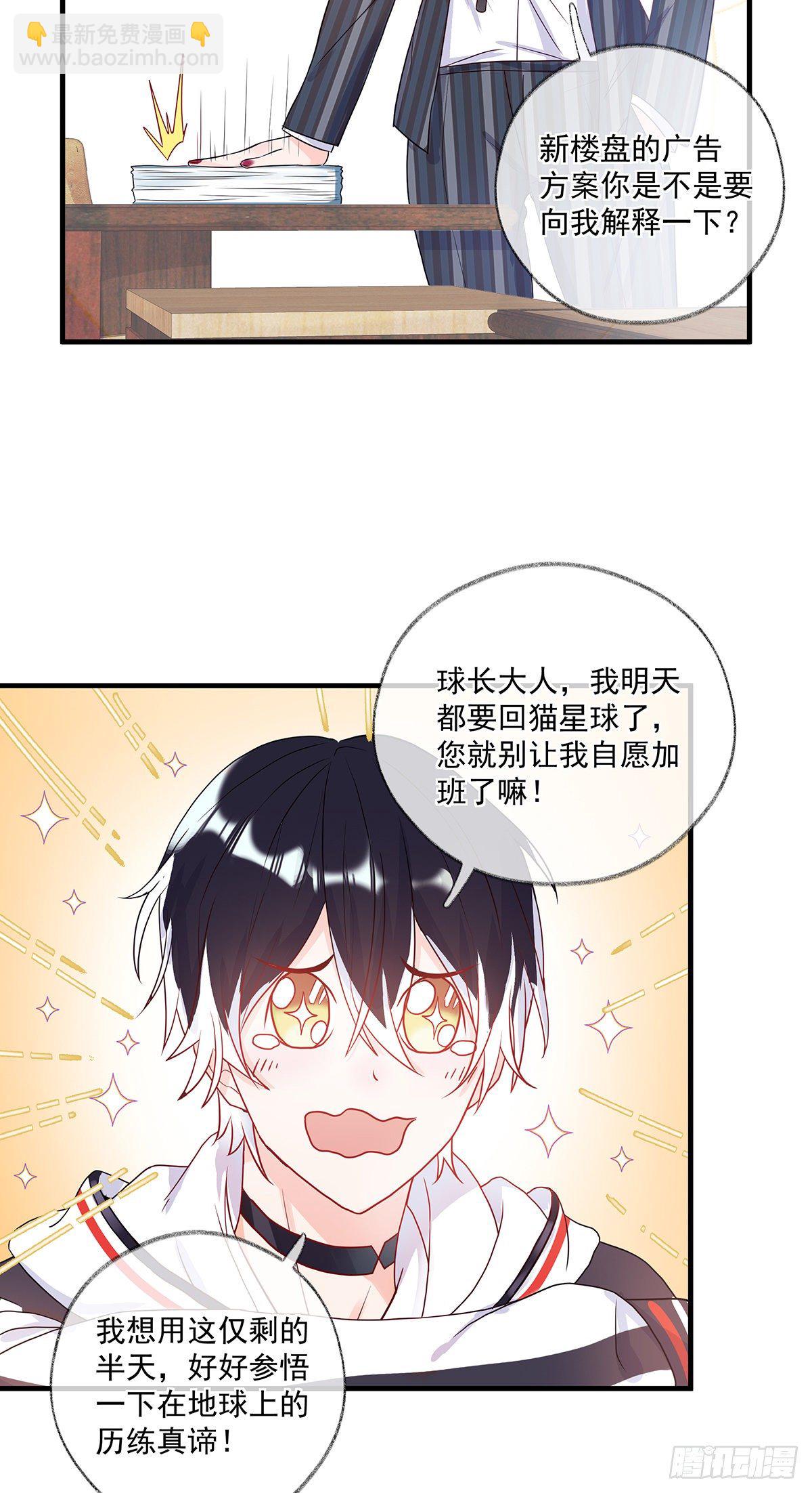 最后的晚餐喵~-第2话