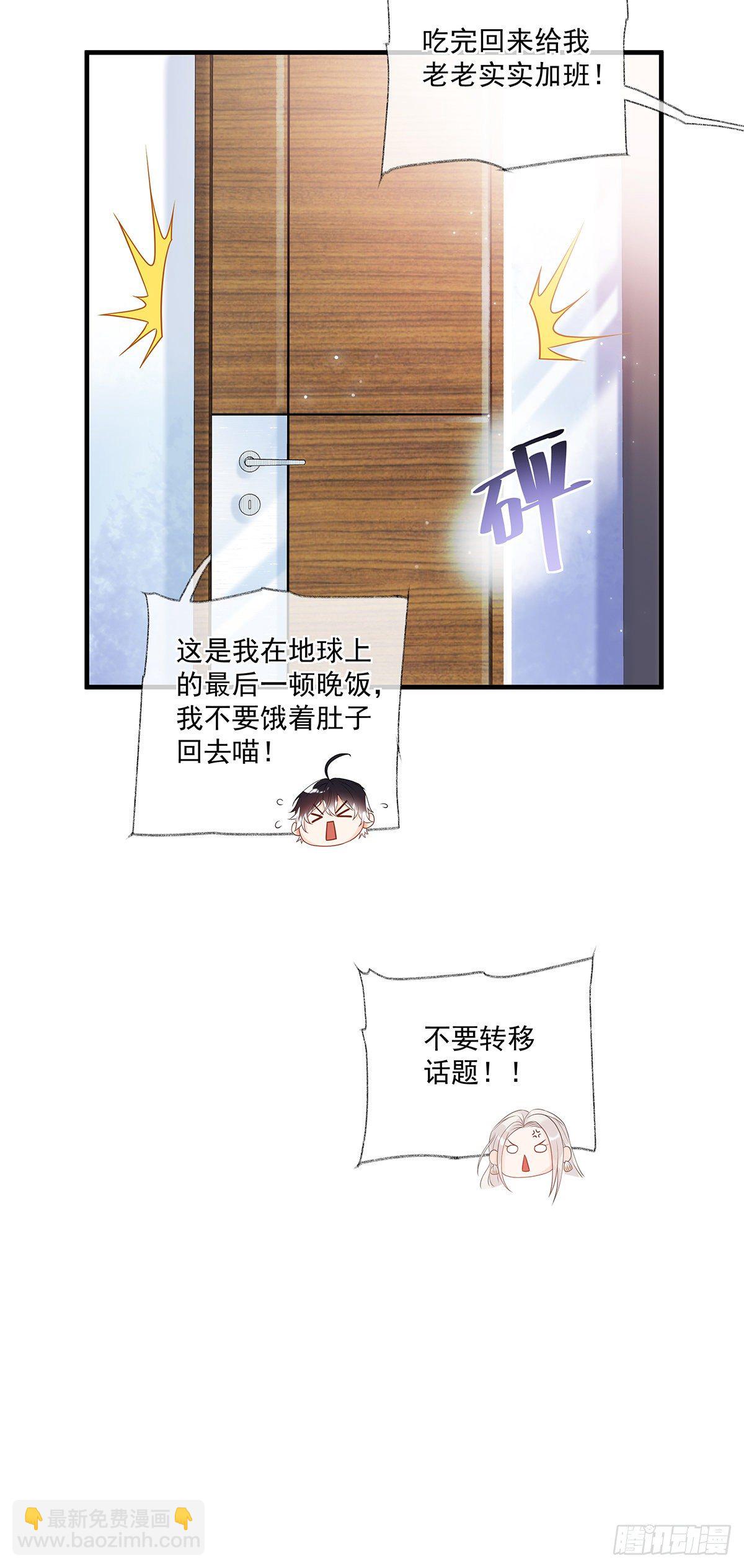 最后的晚餐喵~-第2话