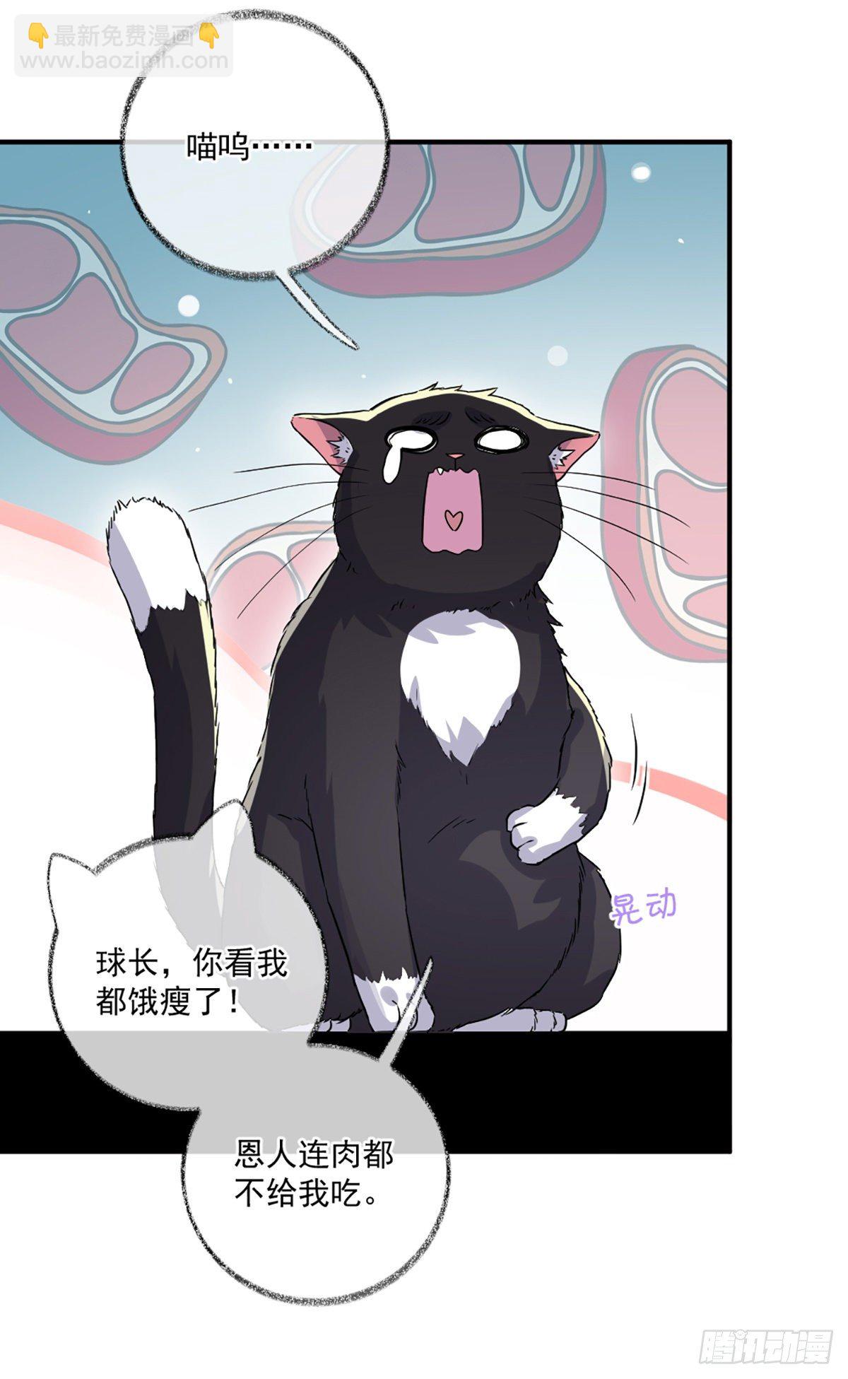 你是这样的恩人喵~-第12话
