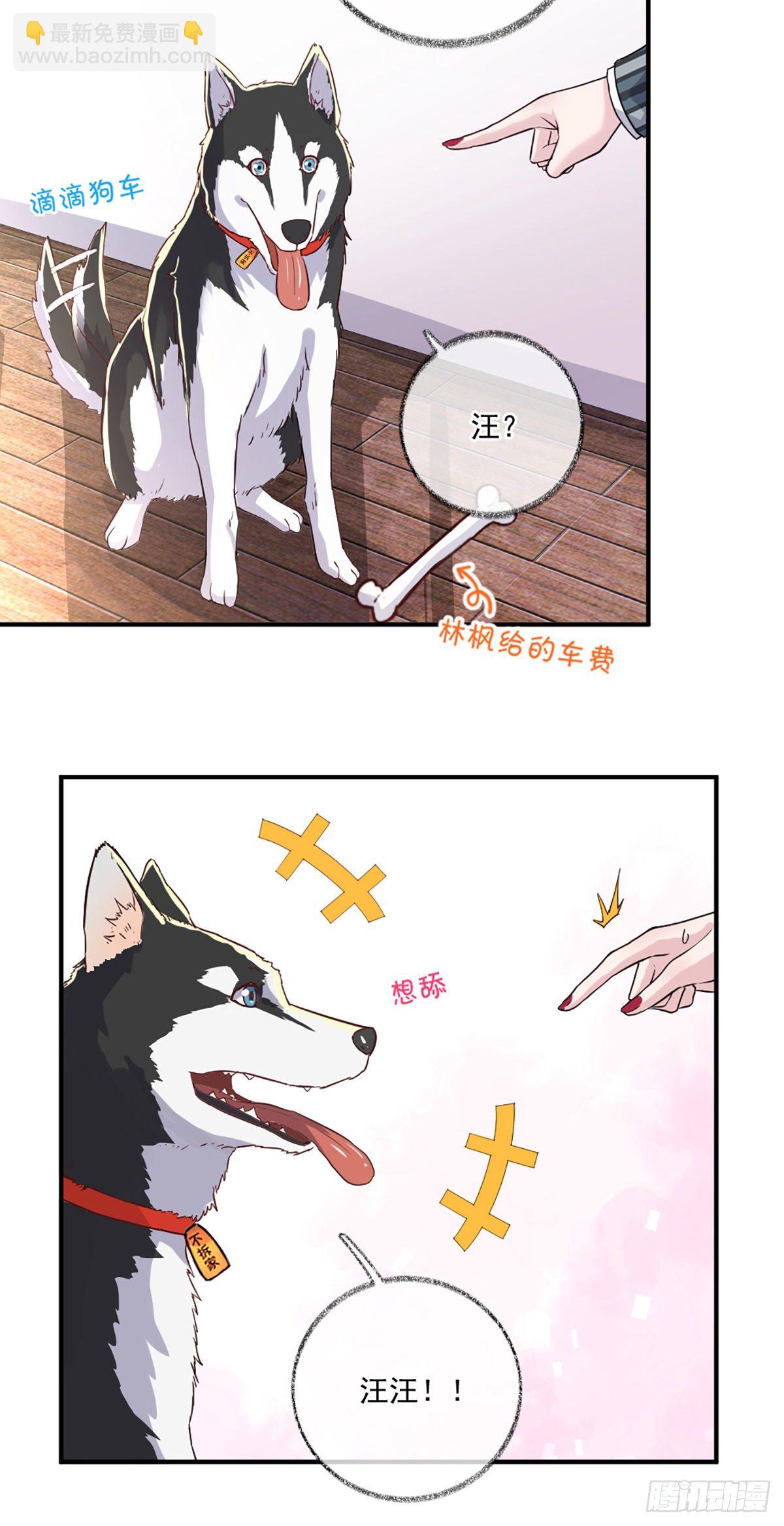 你是这样的恩人喵~-第12话
