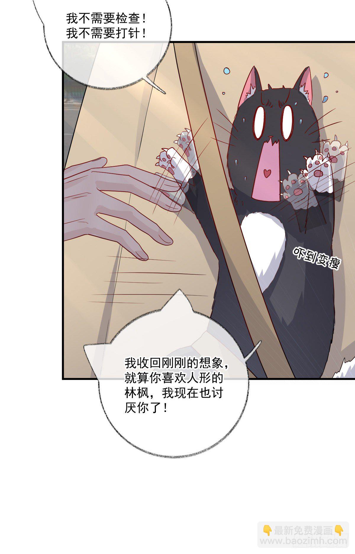 我不绝育喵！-第20话