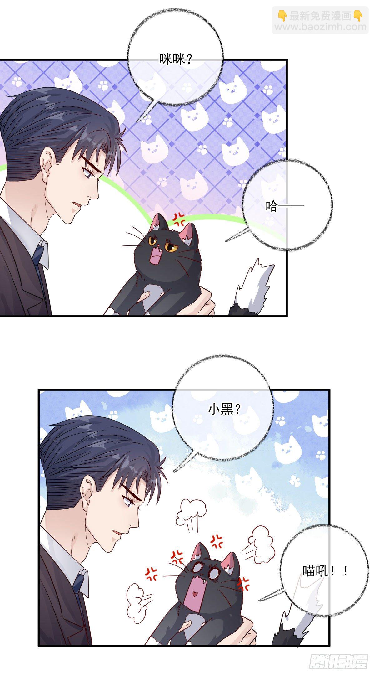 我不绝育喵！-第20话