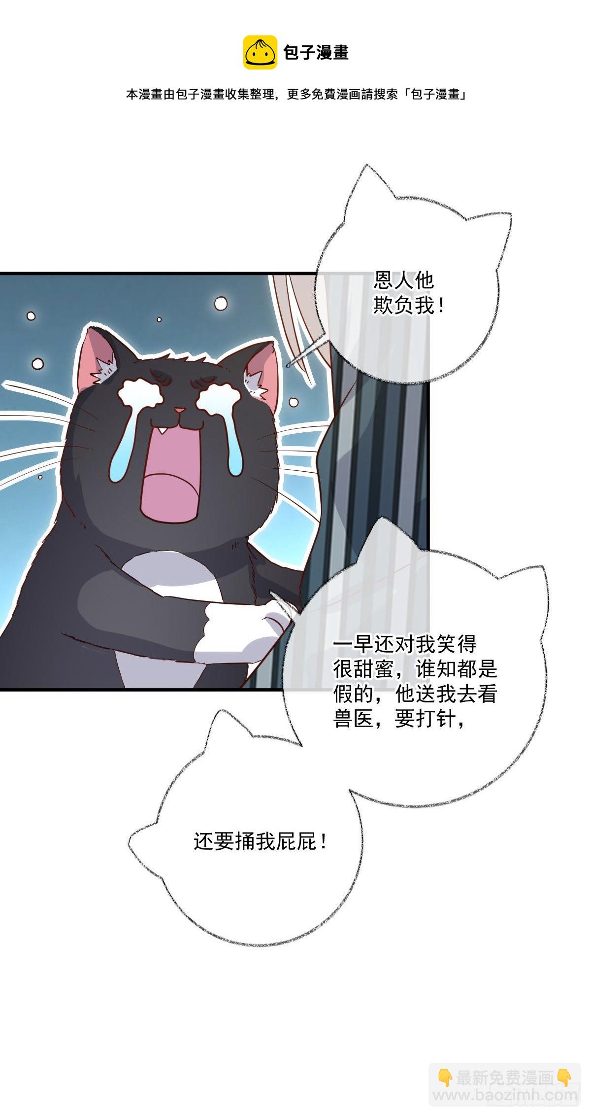 我不绝育喵！-第20话