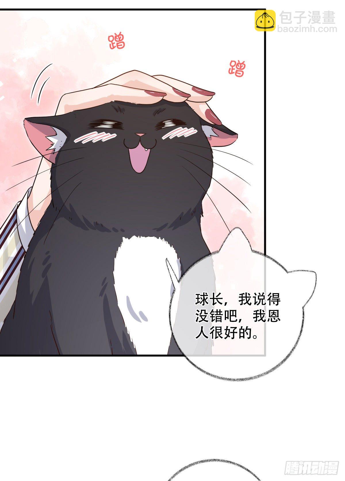 大型修罗场喵~-第22话