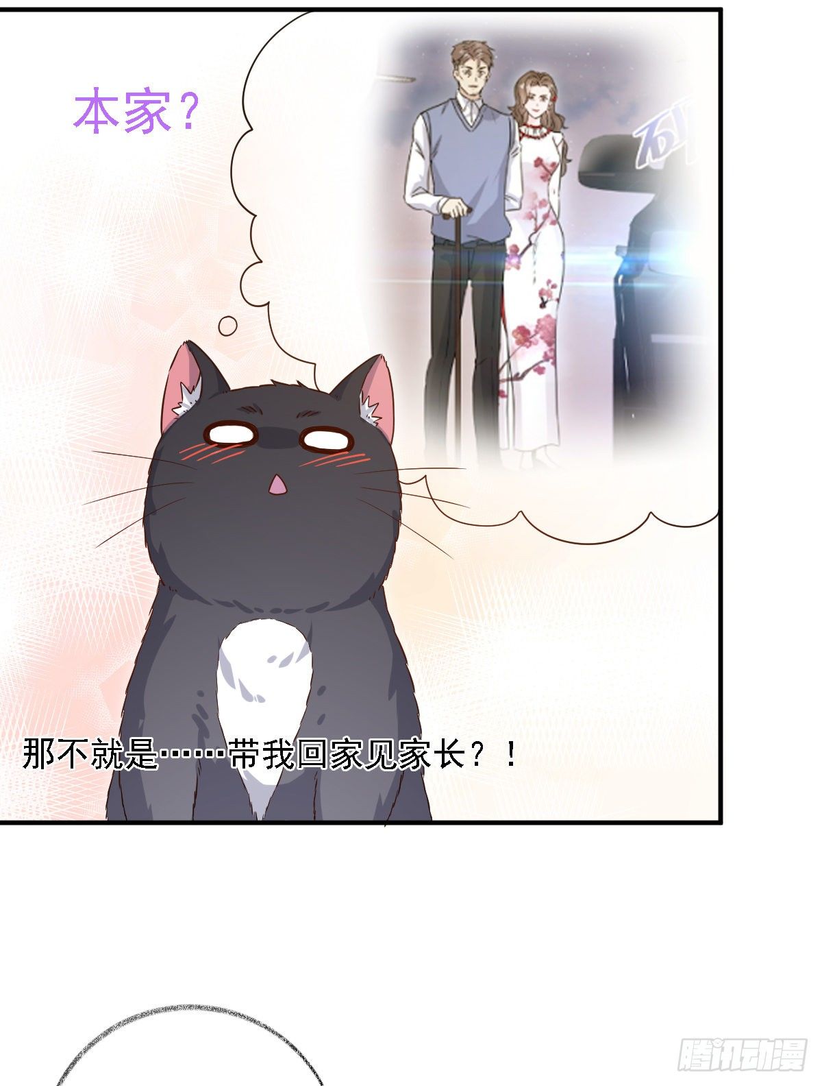 要见家长了怎么办喵？-第24话