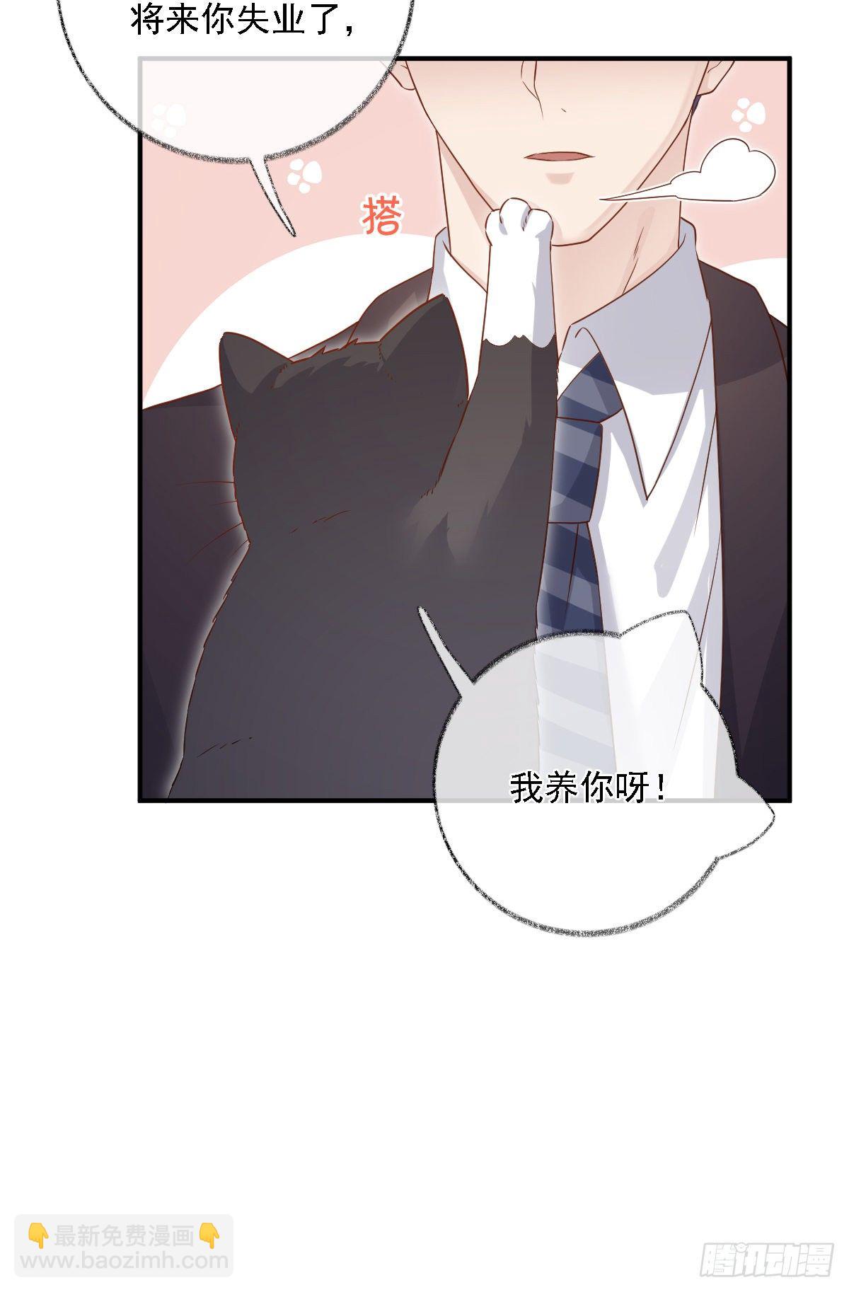 有我在别怕喵~-第26话