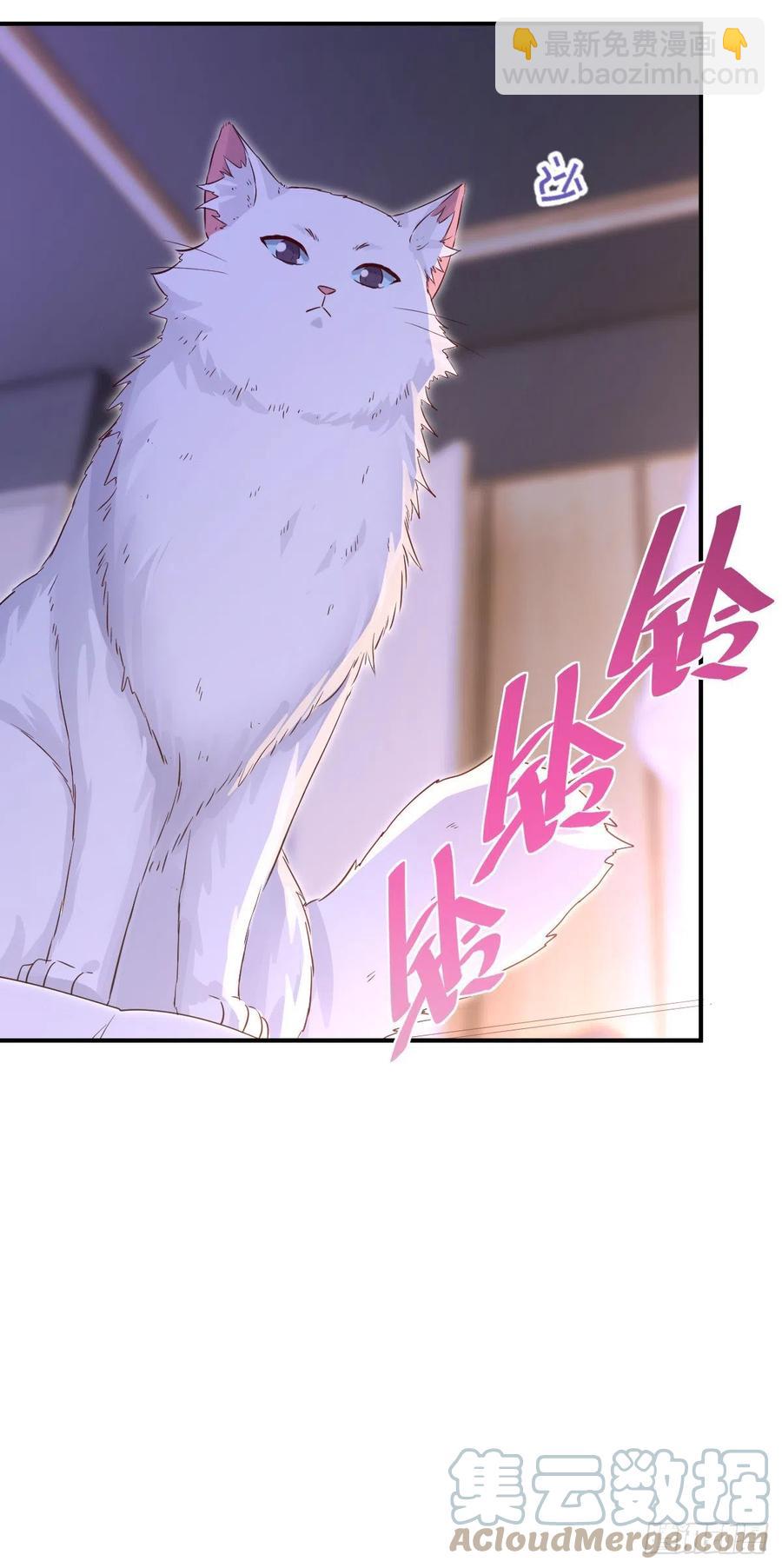 楚飞涯必须死喵~-第28话