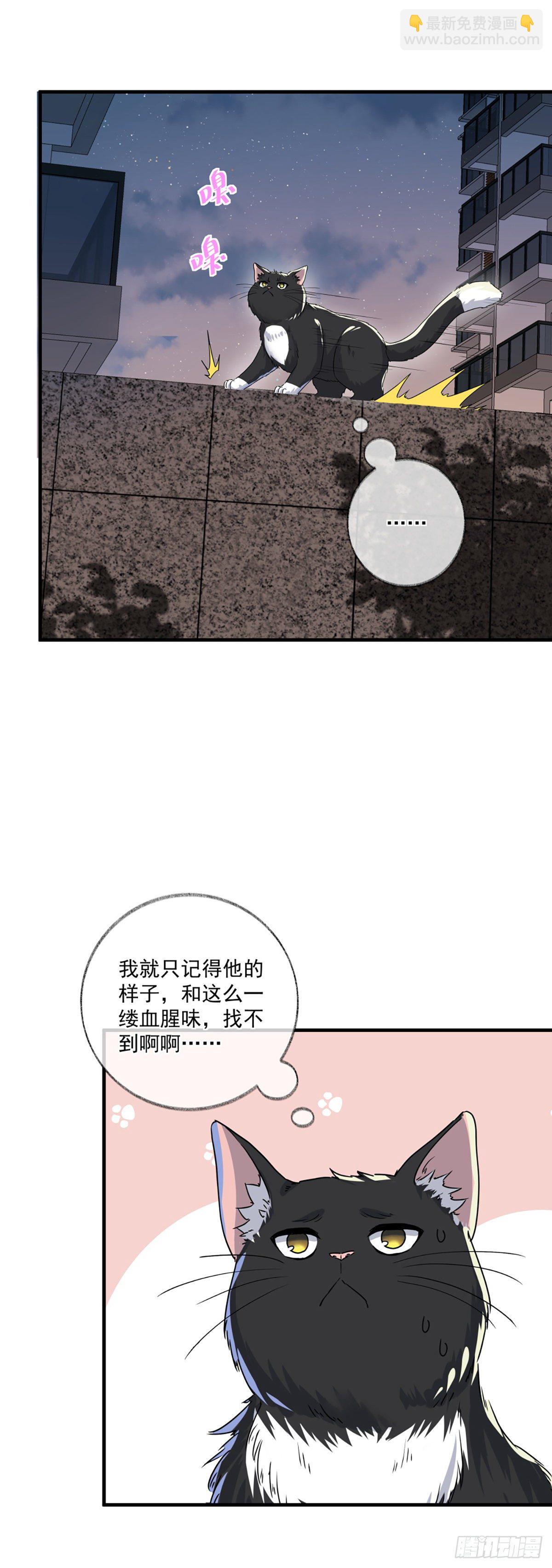 恩人你在哪里呀喵~-第4话