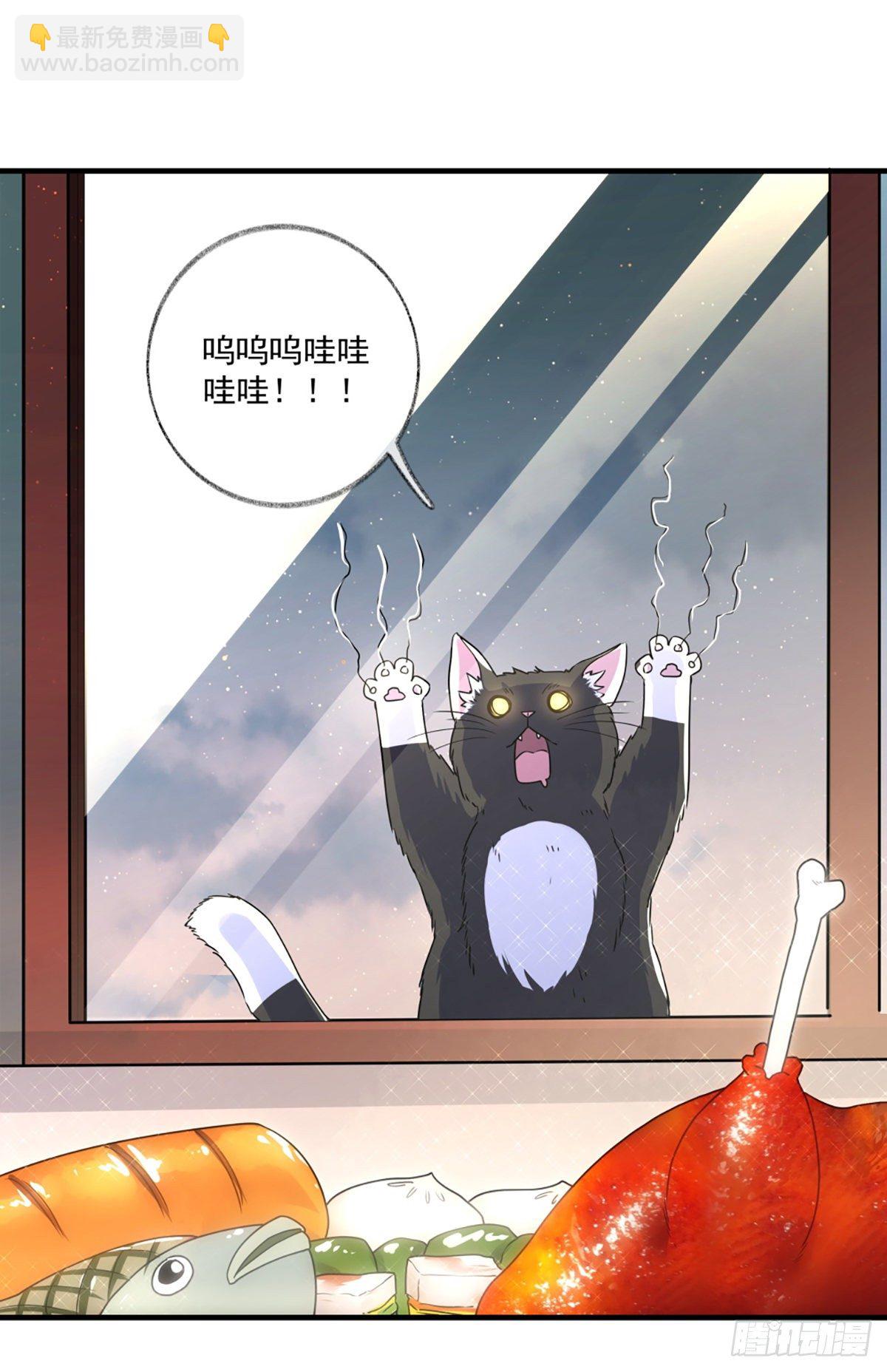 恩人你在哪里呀喵~-第4话