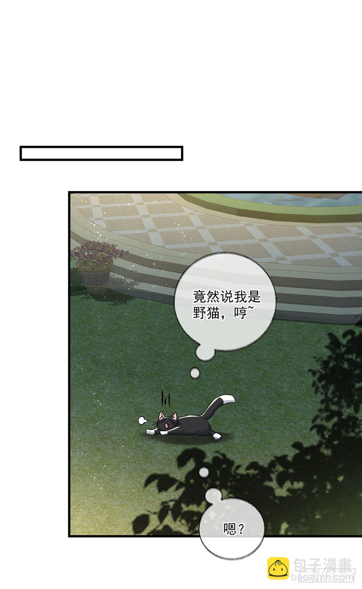 恩人你在哪里呀喵~-第4话