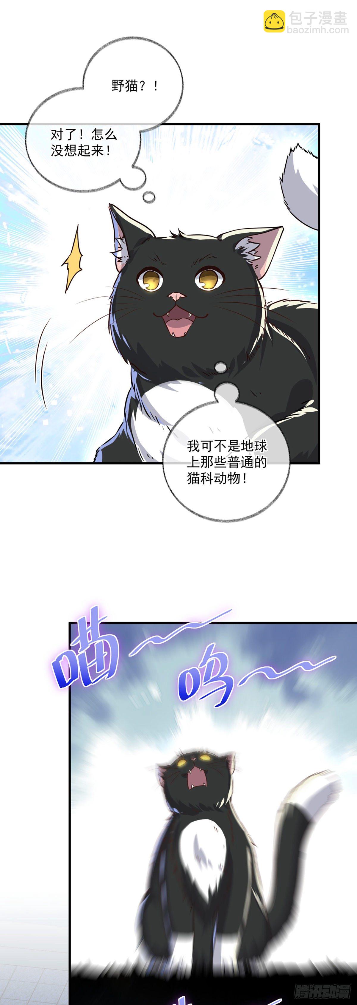 恩人你在哪里呀喵~-第4话