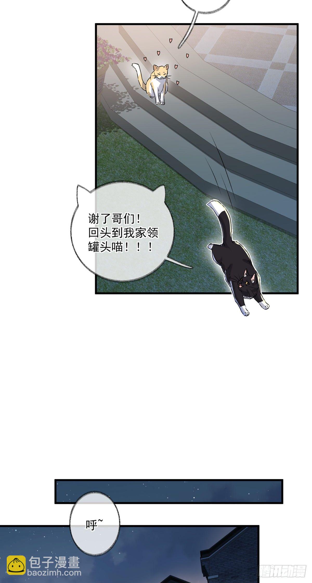 恩人你在哪里呀喵~-第4话