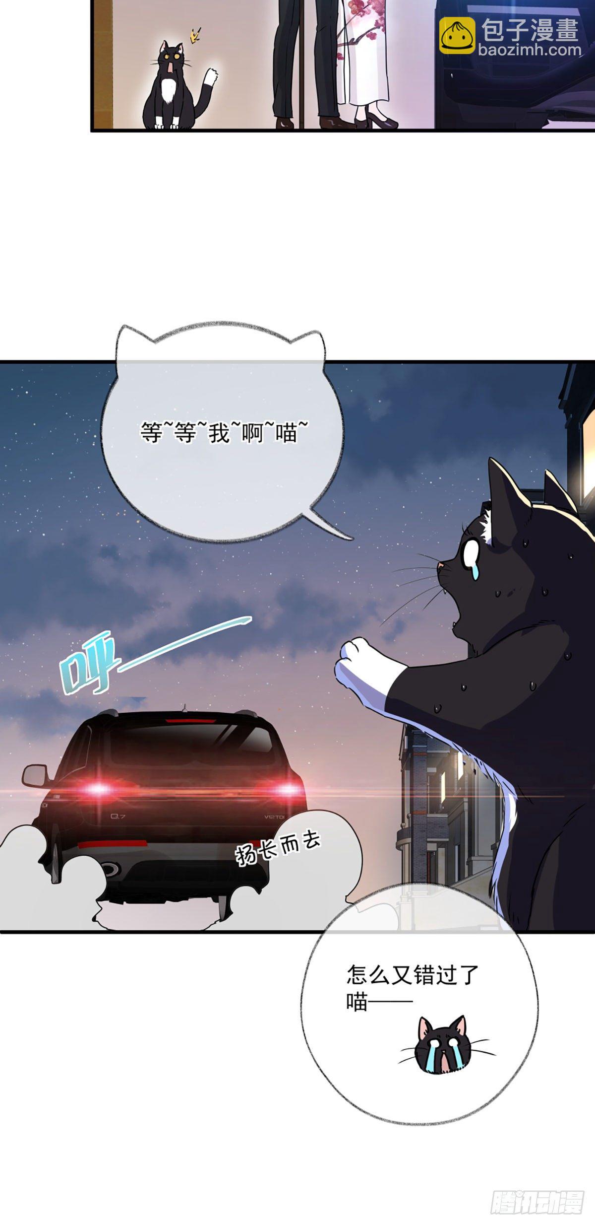 恩人你在哪里呀喵~-第4话