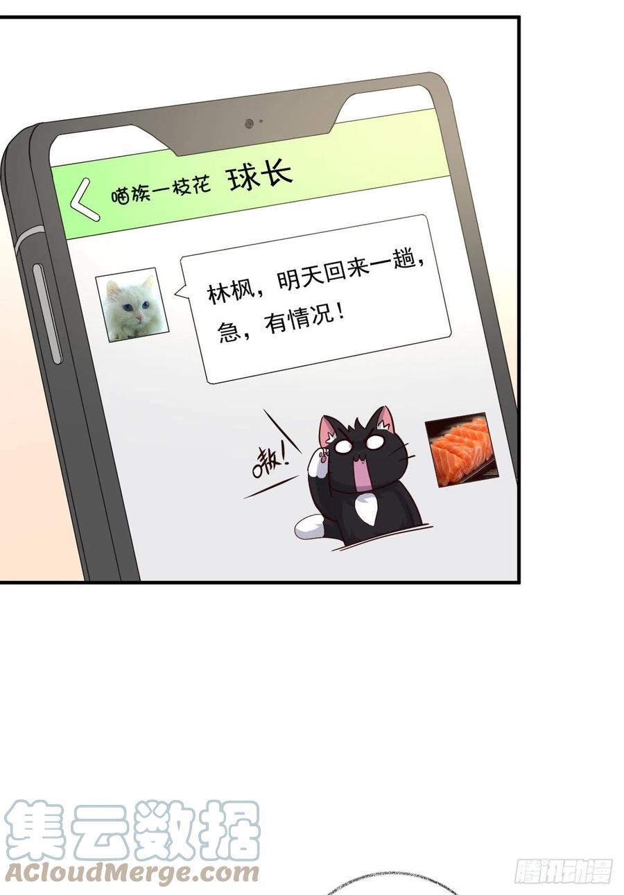 有我在不孤单喵~-第34话