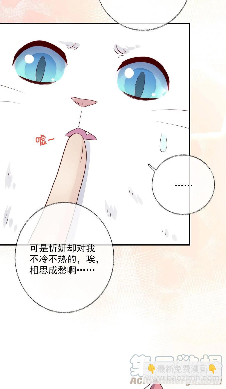 还是我不对劲喵~-第36话