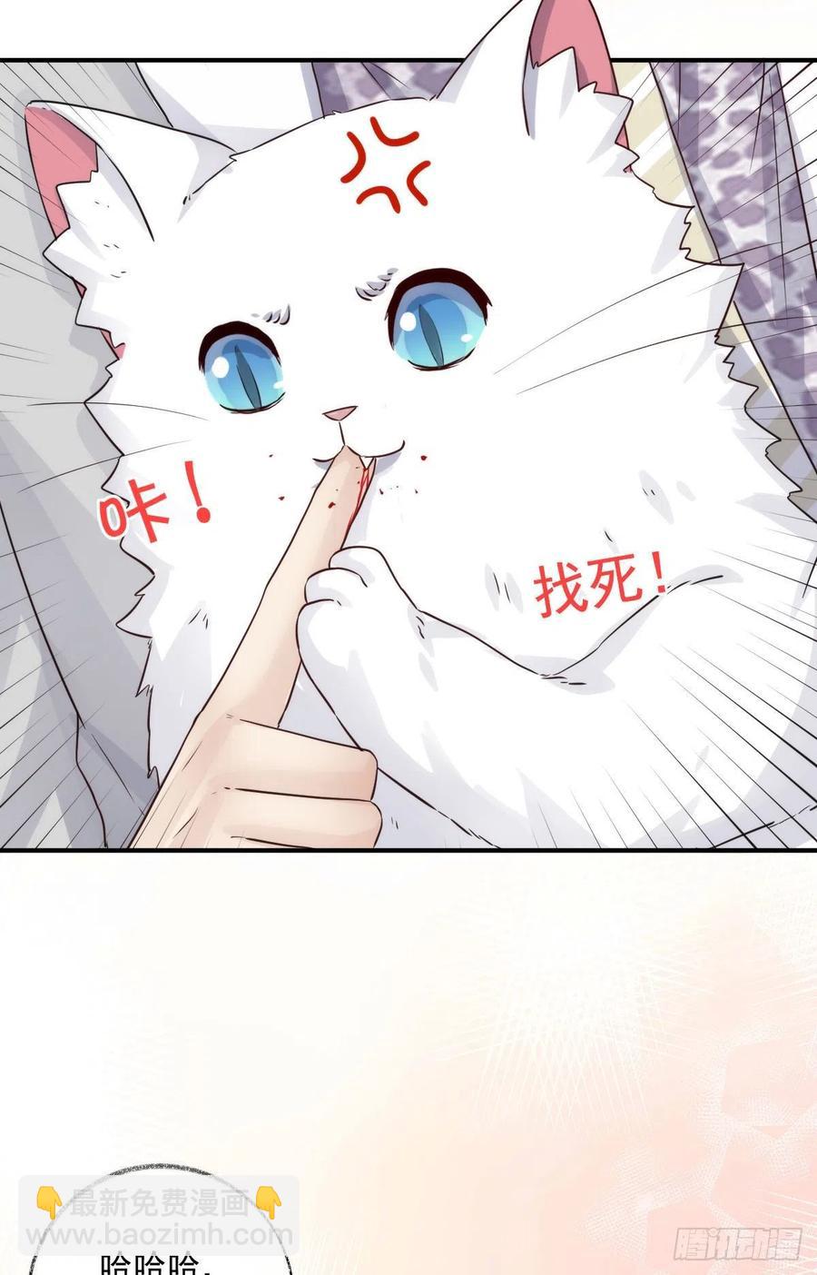 还是我不对劲喵~-第36话